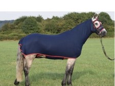 Belvoir Rug Company The