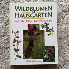 Wildblumen im Hausgarten von