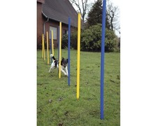 Agility slalom - agility,