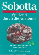 Spielend durch die Anatomie