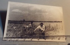 Altes Foto Familie arbeitet