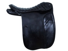 Goertz Julich Champion