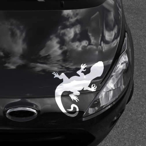 Auto aufkleber gecko - auto,