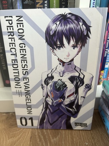 Neon genesis evangelion - neon,