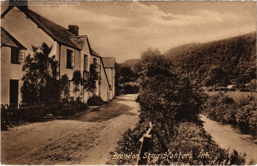 Somerset brendon stag - pc,