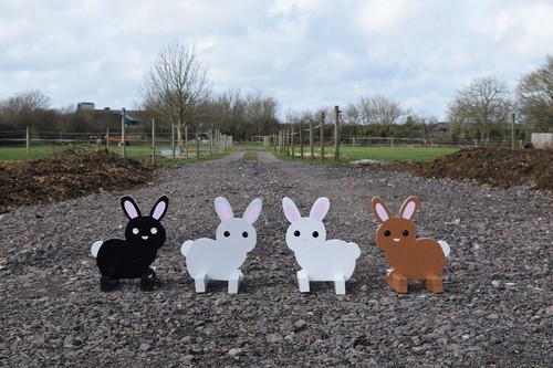 Hase kaninchen - hase,