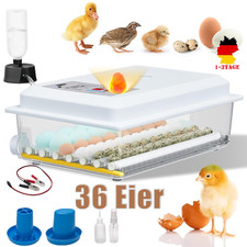 Inkubator Brutmaschine