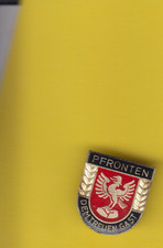 Aus Sammlung: Anstecknadel