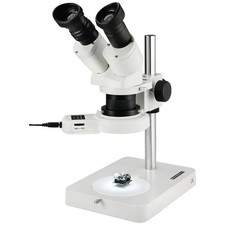 Eschenbach 33213 33213