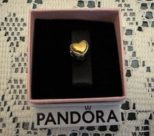 NEW Pandora Moments Two-tone