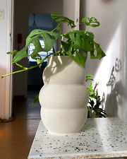 Rolo Blumentopf - Design Vase-