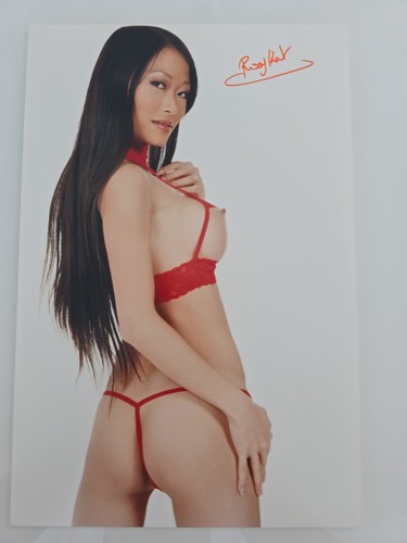 Pussykat xxl foto 20x30cm - foto,