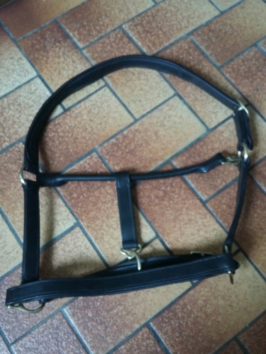 Lederhalfter halfter leder - lederhalfter,