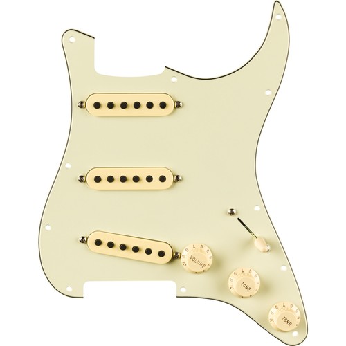 Fender eric johnson pre wired - eric,