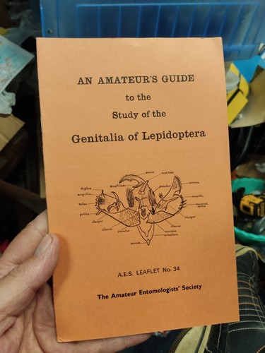 Amateurs guide the study - guide,