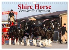 Shire Horse ¿ Prunkvolle