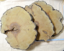 Baumscheibe Birne 1 St