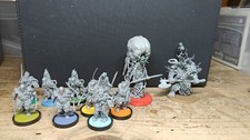 Tribe sarrasse hordes - sarrasse,