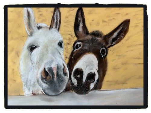 Esel duo original - ",
