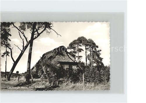 Lueneburger heide alter - heide,