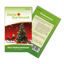 Tannenbaum Samen -