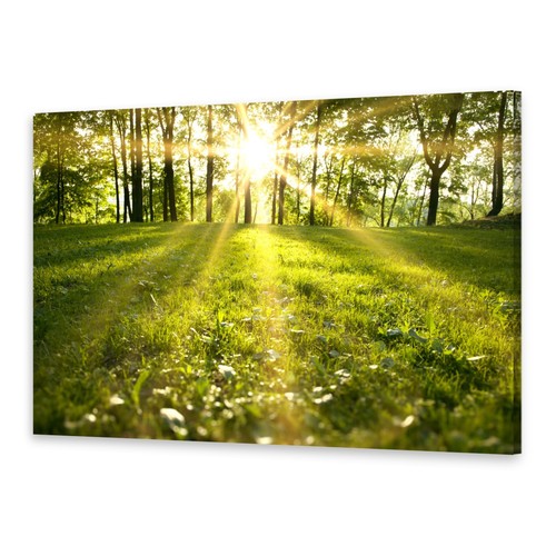 Leinwand bilder wandbild - wandbild, druck