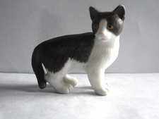 schwarz-weiße KATZE matt von