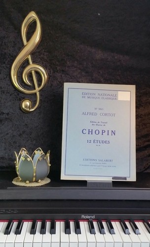 Chopin etüden op 25 -  etüden,