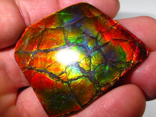 7cts gem imperial ammolite - imperial,