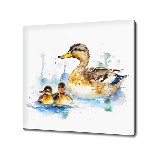 Entenfamilie entenküken - entenfamilie,