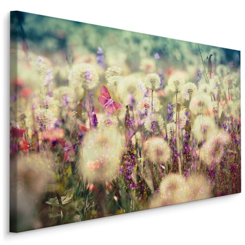 Canvas leinwand bilder - leinwand,