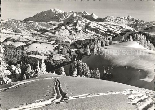 Tanzboden mit saentisblick - sg,