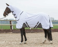 Harry horse fliegendecke - harry`s, mit