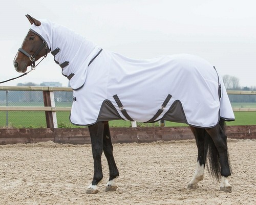 Harry horse fliegendecke mit - harry`s,