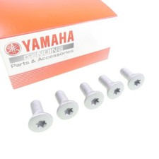 Scheibenbolzensatz hinten