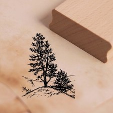 Motivstempel Zirbelkiefer