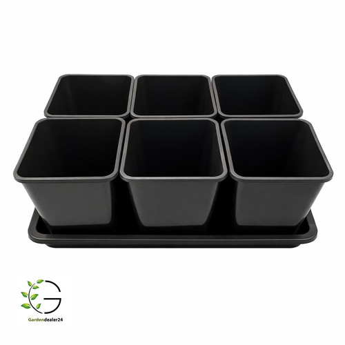 Pflanzen anzucht set aus - pflanzen,