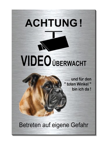 Boxer-Hund-Video-Überwacht--3