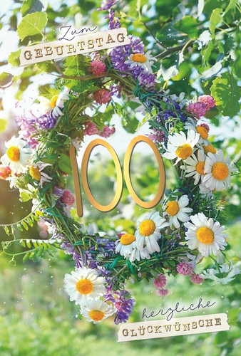 Zahlengeburtstag 100 jahre - zahlengeburtstag,
