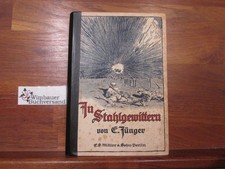 In Stahlgewittern. Aus dem Tagebuch eines Stoßtruppführers. Zweite Auflage. Jüng
