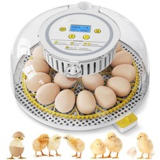 Vollautomatische Brutmaschine