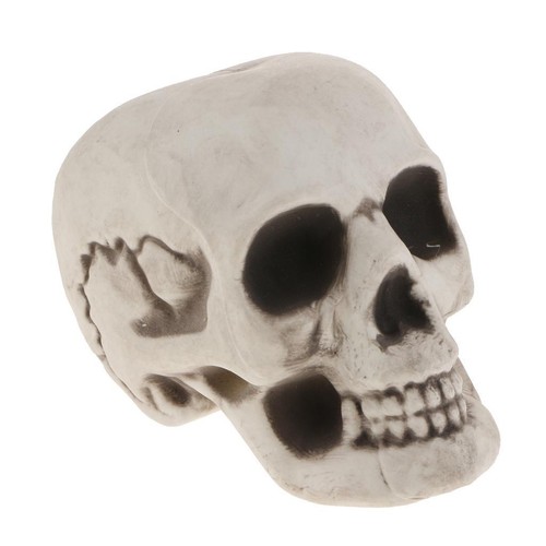 Plastikschädel skulptur - plastikschädel,