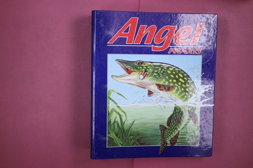 284331 angel praxis - 284331, hc