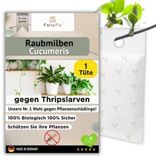 Raubmilben Cucumeris gegen