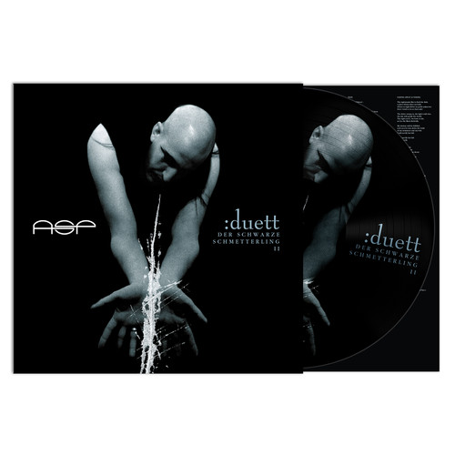 Asp duett lim 12 - duett, 12”