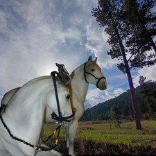 Breyer stone custom bead