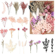 Trockenblumen, Getrocknete