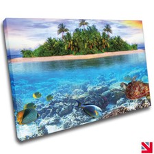 Schildkröte Fisch Meer