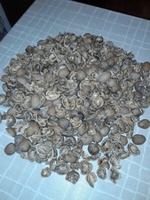 10 kg Walnussschalen,Bio,Granulat, Garten  Beetabdeckung, Schneckenabwehr, Mulch