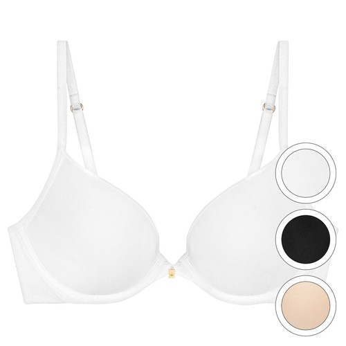 Triumph body make - triumph,